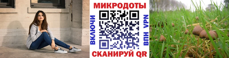 ОМГ ОМГ tor Грязовец Галлюциногенные грибы Psilocybine cubensis