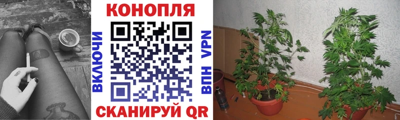 МАРИХУАНА марихуана  Грязовец 